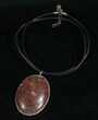 Red Agatized Dinosaur Bone Necklace #5990-1